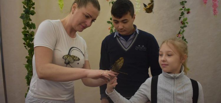 Бабочки мира