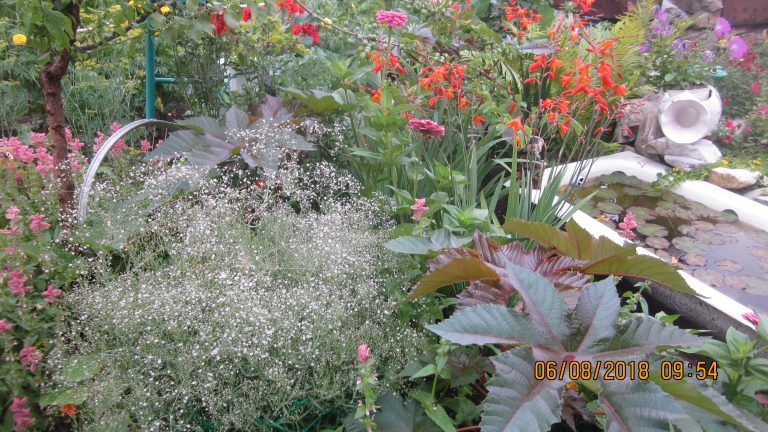 Итоги конкурса "Дачные рекорды - 2018" - Социальное обслуживание ...