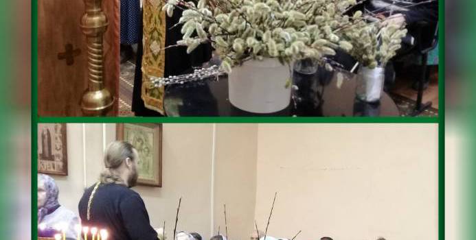 Вербное воскресенье в Некрасовском доме-интернате Вербное воскресенье в Некрасовском доме-интернате