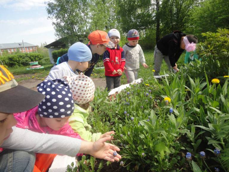 Дети ухаживают за растениями картинки для детей