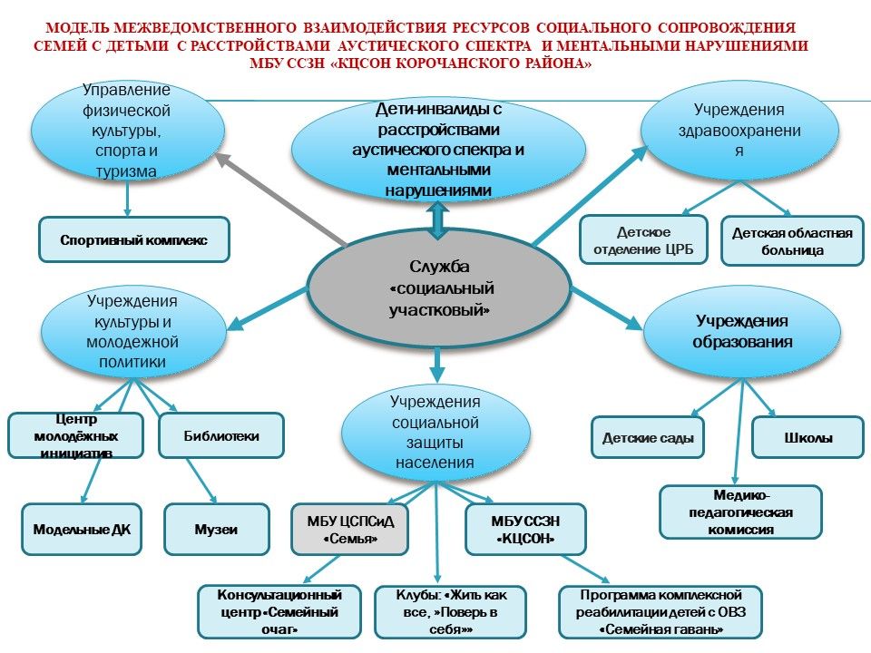 Проект социальный участковый